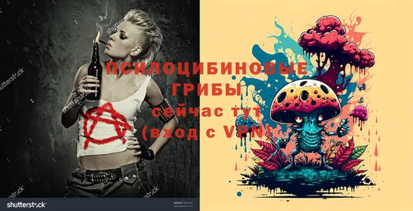 ALPHA PVP Алексин