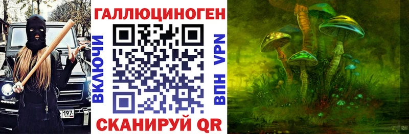 где купить наркоту  Хвалынск  Галлюциногенные грибы Cubensis 